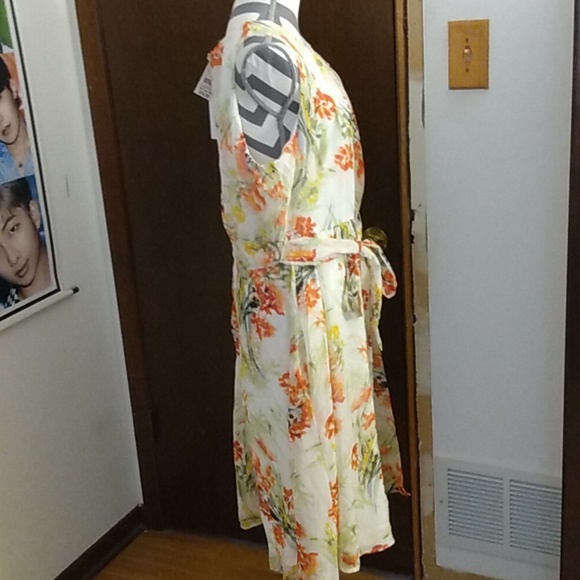 COPY - Beautiful Plus Size Floral Sleeveless Dress. Runs small—more like a 1X o… - Picture 2 of 7